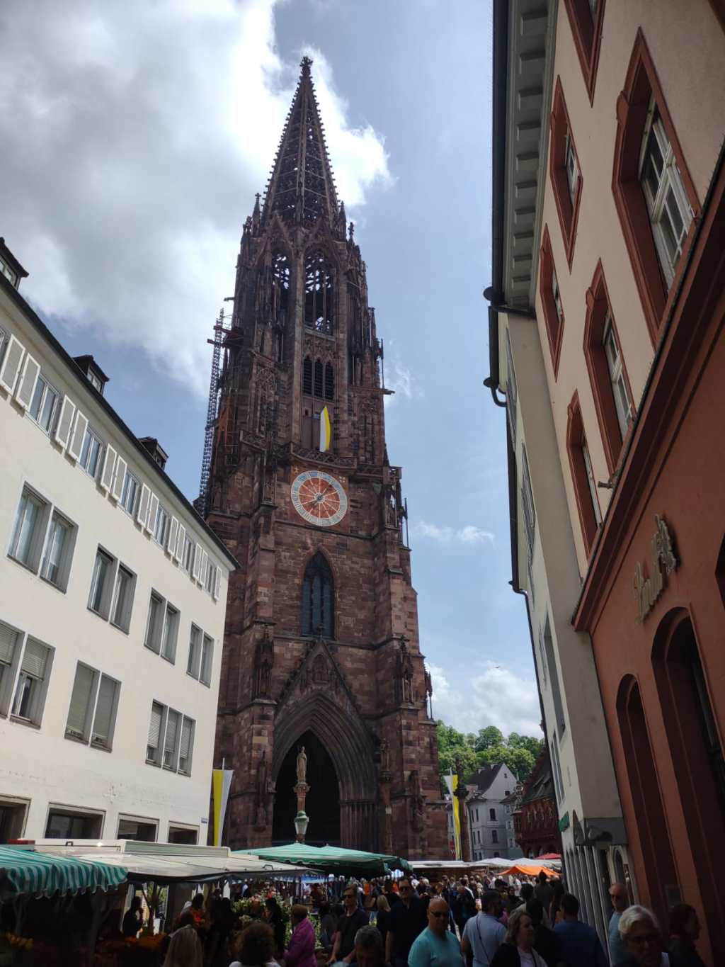 Ein Stadtportrait-Freiburg