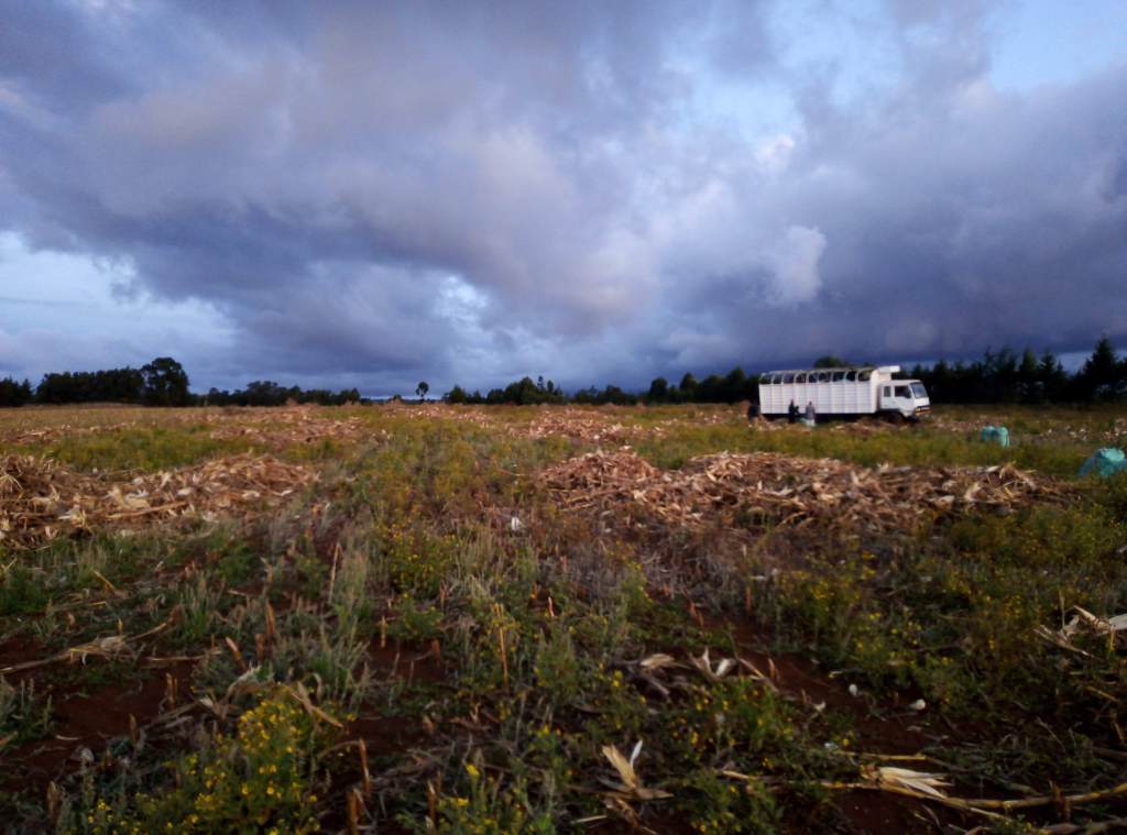 Der Klimawandel: Realität oder&nbsp;Mythos?