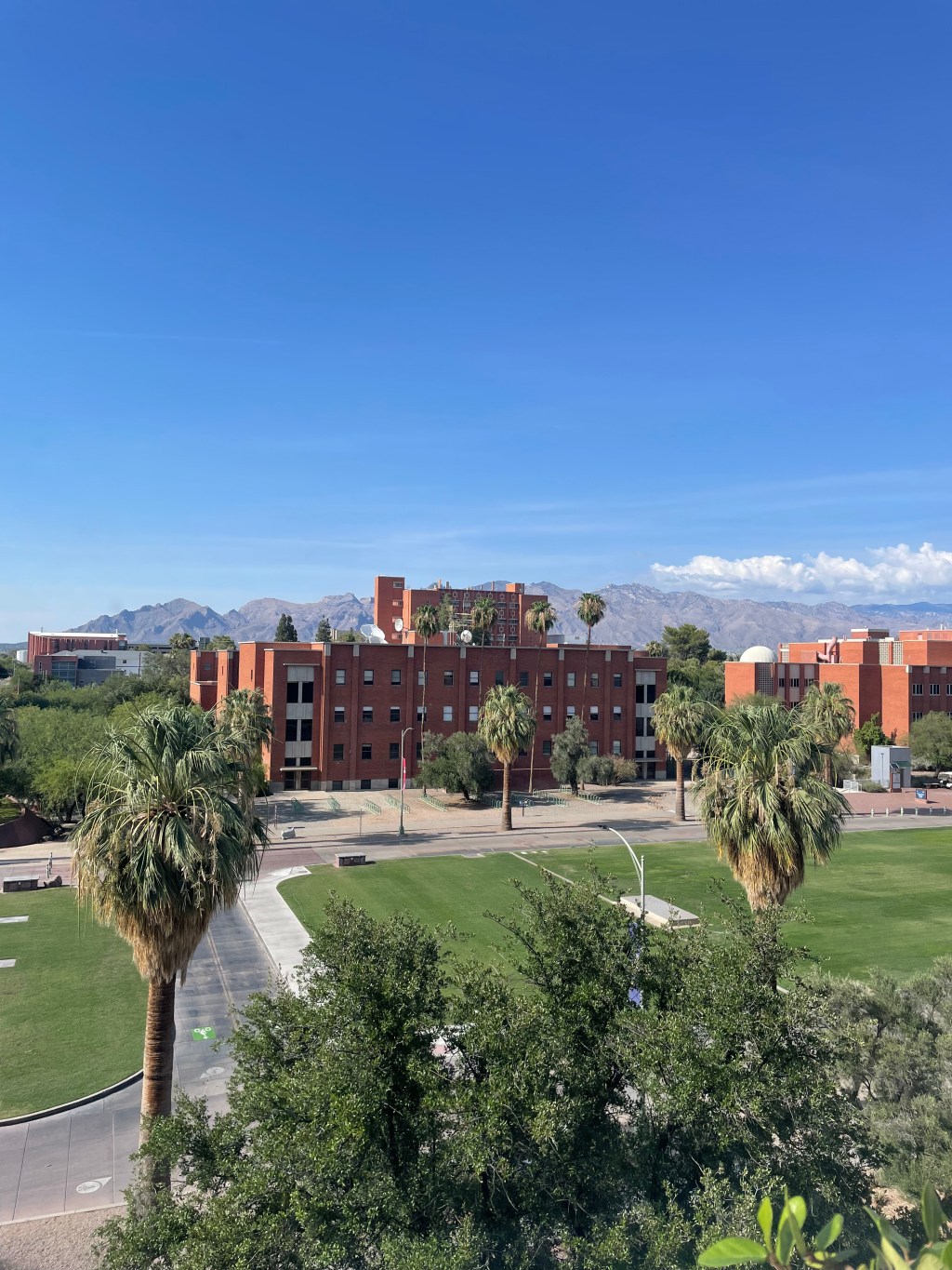 Taking it all in—for&nbsp;posterity