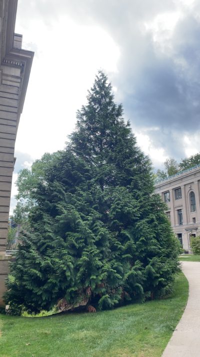 So amazing to be loved. But is it&nbsp;though?