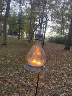 Forest Bathing; Shinrin-yoku