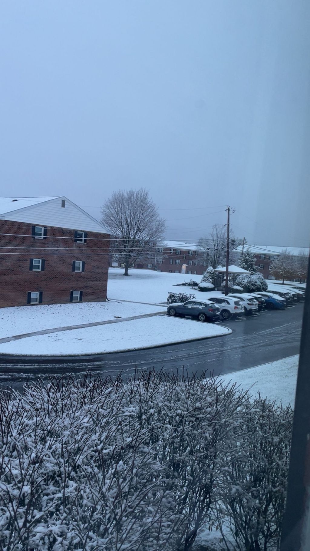 The Start of&nbsp;Winter